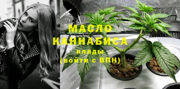 стаф Вяземский