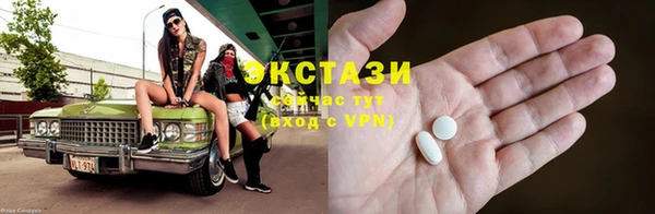 тгк Снежногорск